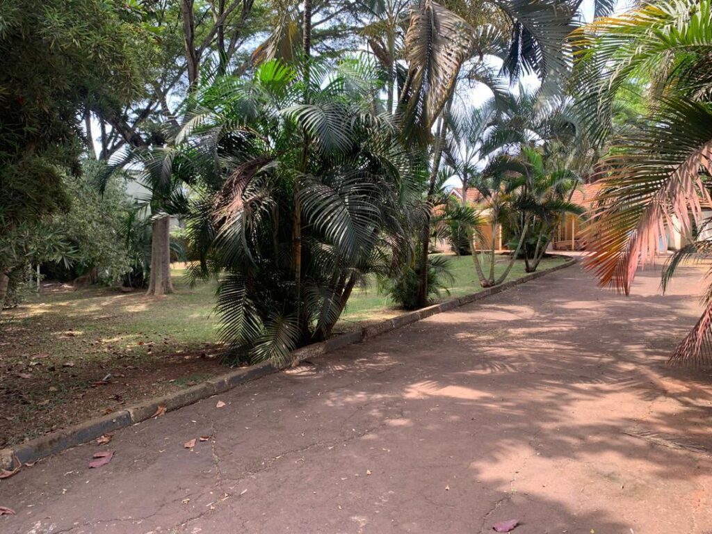 kololo-land
