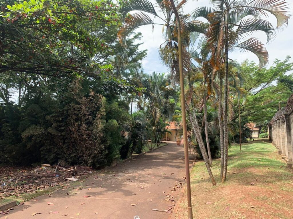 kololo-land-3