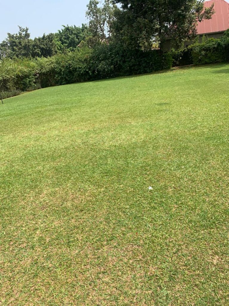 nsambya-commercial-property-for-sale-5