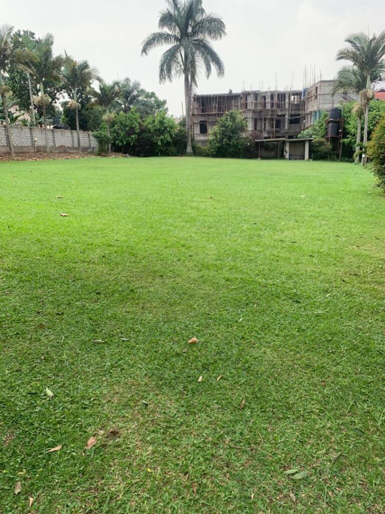 nsambya-commercial-property-for-sale-6