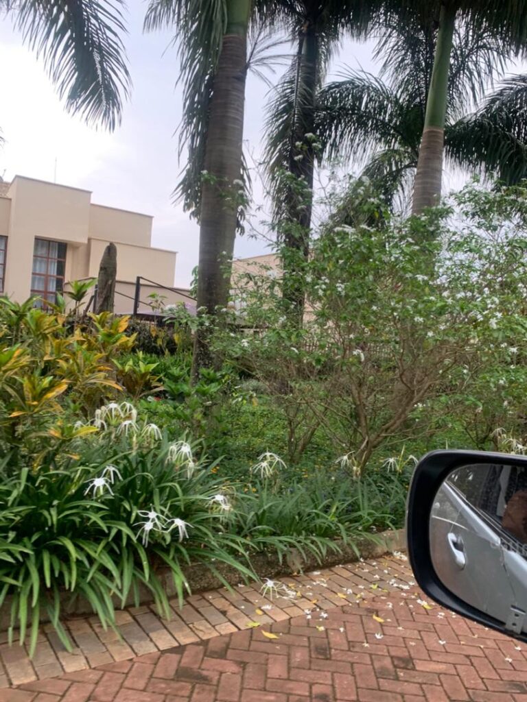 pearl-marina-garuga-entebbe-1